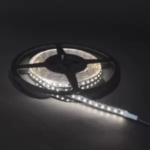 Ruleta autoblocanta 5m x 19mm Proline