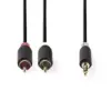 Cablu audio stereo Nedis Jack 3.5 mm tata - 2x RCA tata 10m - imagine 2