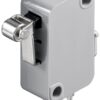Comutator micro 1 pol 250V 5A cu lamela 15mm si rola
