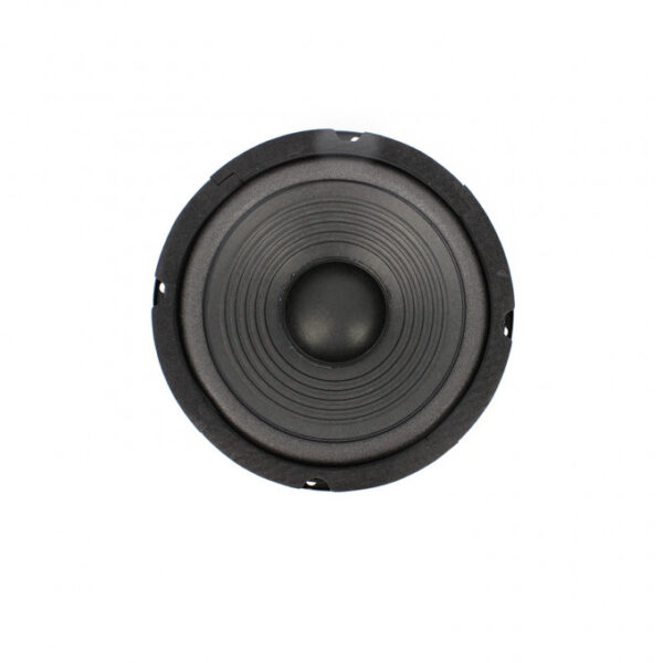 Difuzor HI-FI HOME 6.5" 165mm 90/160W 8 ohmi 55Hz-5kHz Carguard HSP002 - imagine 2