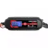 Incarcator Inteligent pt baterii auto 6V-12V Redresor incarcare 1.2-120Ah Carguard - imagine 2