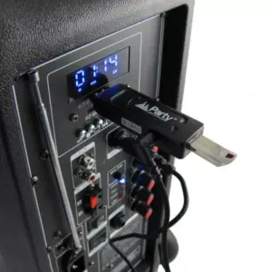 Microfon wireless cu modul USB Party Light & Sound