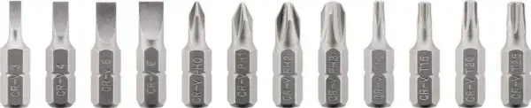 Set surubelnita cu clichet 12biti CrV 4x Phillips PH0 PH1 PH2 PH3 Capete plane 4x 3mm 4mm 5mm 6mm 4x Torx T10 T15 T20 T25 Goobay - imagine 2