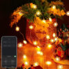 Sir de lumina inteligenta fulg de zapada USB - 20 LED micro RGBIC 16 milioane de culori 2m IP55 WI-FI bluetooth 5.0 - imagine 3