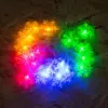 Sir lumini 20 LED Fulgi de zapada multicolor pe baterii 2m PHENOM LIGHTING TECHNOLOGY - imagine 2