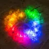 Sir lumini 20 LED Reni multicolor pe baterii 2m PHENOM LIGHTING TECHNOLOGY - imagine 2
