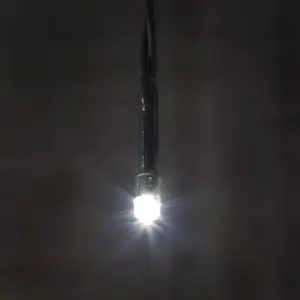 Sir lumini 200 LED 10m alb rece 100-240V 3.6W PHENOM LIGHTING TECHNOLOGY